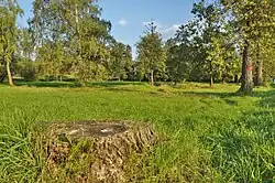 Chráněné území uprostřed obce Niva