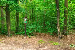 Přírodní památka Olešnice