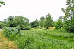 Přírodní památka Orlice