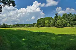 Novozámecké louky, součást PP Pod Templem