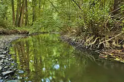 Přírodní památka Pod Zápovědským kopcem