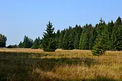 Celkový pohled na lokalitu