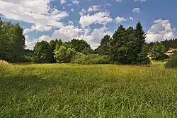 Přírodní památka Pohorská louka