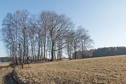 Přírodní památka Polánka