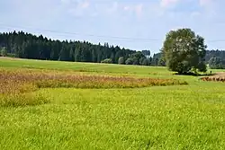 Celkový pohled na lokalitu