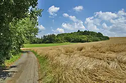 Přírodní památka Skalky