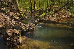 Potok Smolinka ve stejnojmenné přírodní památce