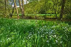 Přírodní památka Svratka