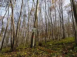 PP U Staré Vápenice