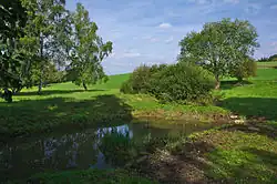 Uměle vytvořená tůň sloužící k rozmnožování obojživelníků