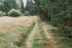 Severozápadní okraj