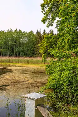 Přírodní památka rybník Strašidlo