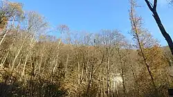 U Ochozské jeskyně