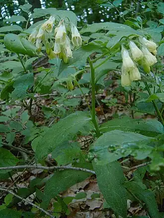 alternativní popis obrázku chybí