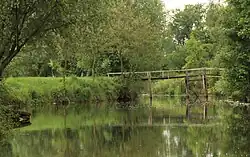 Tok řeky Jihlavy na území parku