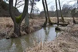 Bilinský potok v přírodním parku Plziny