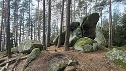 Rozsocha v Přírodním parku Sedmihoří