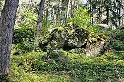 Hadcové skalky v září 2021