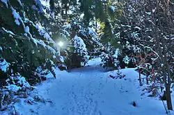 Cesta k vrcholu, na němž stávala fortifikace