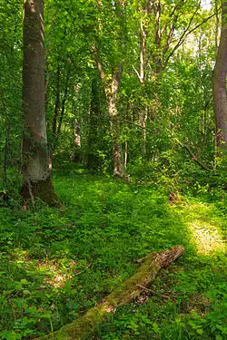 Přírodní rezervace Kovačská bažantnice