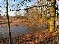 Přírodní rezervace Luňáky