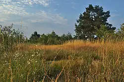 Přírodní rezervace Malý Kosíř