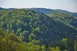 Přírodní rezervace Ochoza z Kopicova vrchu