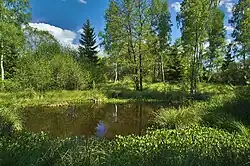 Jedno z umělých jezírek v přírodní rezervaci Pavlovské mokřady