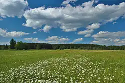 Přírodní rezervace Pavlovské mokřady