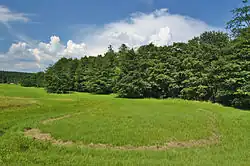 Potok v přírodní rezervaci Skelná Huť