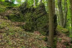 Přírodní rezervace Spálava