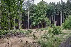 severní okraj rezervace