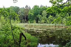 Přírodní rezervace U Houkvice