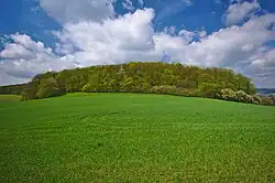 Velká Kobylanka od Malé Kobylanky
