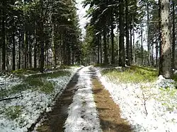 Vrchol hory Příslop