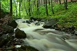 Kamenička pod stejnojmennou přehradou