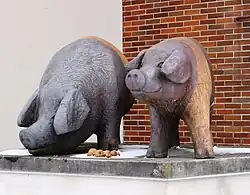 Černostrakatí přeštíci v lednu 2017