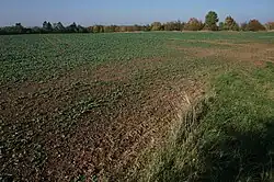 Přistoupim - hradiště Svatováclavské šance (10).jpg