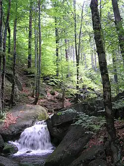 Vodopád Hájeného potoka v někdejší NPR Tišina