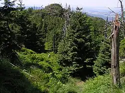 Přírodní rezervace Ptačí kupy