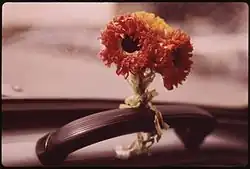 Dan McCoy: PAPER POSY BRIGHTENS INSIDE OF PHOTOGRAPHER'S VW "BEETLE", archiv NARA