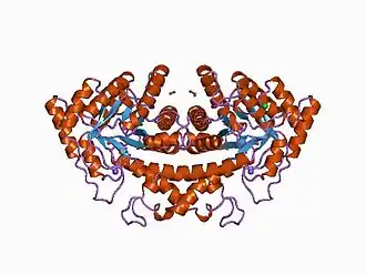fruktóza-1,6-bisfosfátaldoláza druhé třídy v komplexu s fosfoglykolohydroxamátem