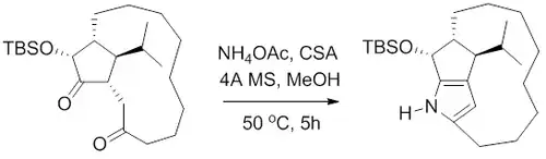 Paalova–Knorrova syntéza během přípravy roseofillinu