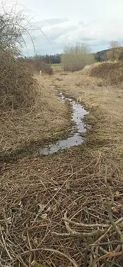 u pramene Plesenského potoka