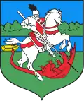 Brzeg Dolny – znak