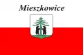 Mieszkowice – vlajka