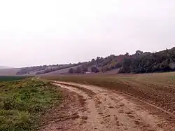 část přírodní památky na západním svahu údolí