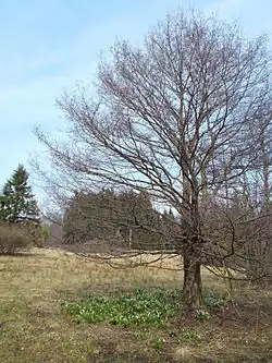 Jižní část chráněného území