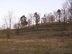 Přírodní památka Pahorek