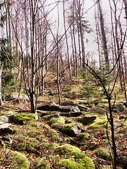 Přírodní památka Vlčí kámen